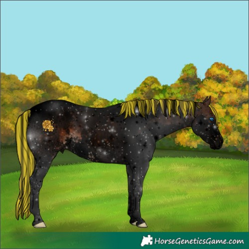 Horse Color:Void Painted White Spotted Brown Splash Tobiano Rabicano 