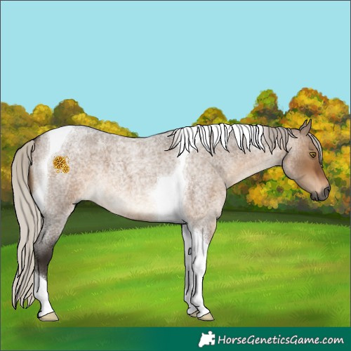 Horse Color:Gray Silver Bay Roan Dun Tobiano 