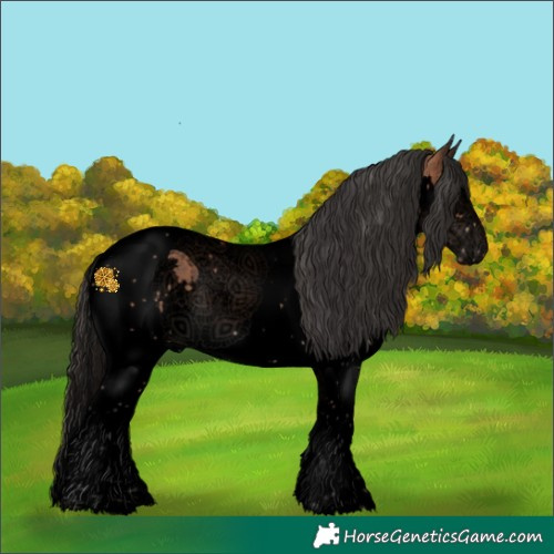 Horse Color:Void Bay Splash Tobiano 
