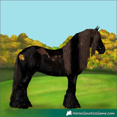 Horse Color:Void Liver Chestnut Splash Tobiano 