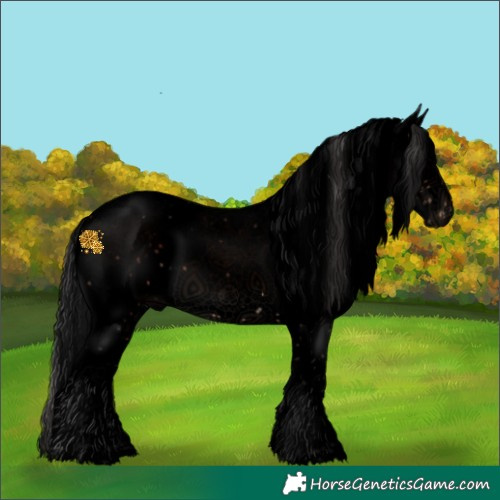 Horse Color:Void Brown Sabino Splash 