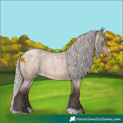 Horse Color:Silver Brown Roan Dun Sabino 