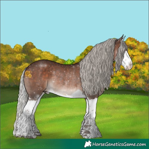 Horse Color:Silver Brown Splash Rabicano 