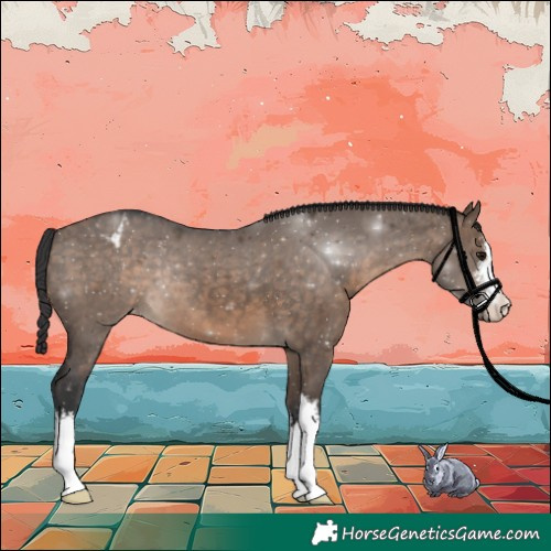 Horse Color:White Spotted Brown Dun Varnish 
