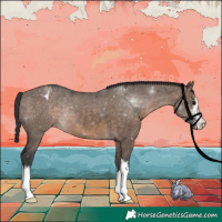 Horse Color:White Spotted Brown Dun Varnish