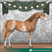 Horse Color:White Spotted Chestnut 