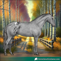 Horse Color:Black Varnish Rabicano