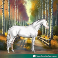 Horse Color:Silver Amber Champagne Roan Dun Splash Tobiano Frame Near Leopard Rabicano