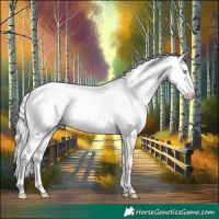Horse Color:Silver Perlino Dun