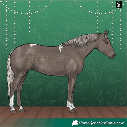 Horse Color:Silver Black Tobiano Rabicano 