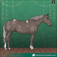 Horse Color:Silver Black Tobiano Rabicano 