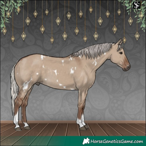 Horse Color:White Spotted Silver Grullo Tobiano Rabicano 
