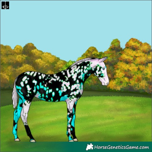 Horse Color:Watercolor White Spotted Silver Sable Cream Champagne Pearl Onyx Near Leopard 