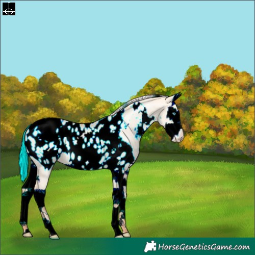 Horse Color:White Spotted Silver Sable Champagne Pearl Dun Splash Near Leopard 