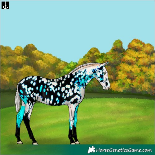 Horse Color:Silver Amber Champagne Pearl Onyx Sabino Near Leopard 