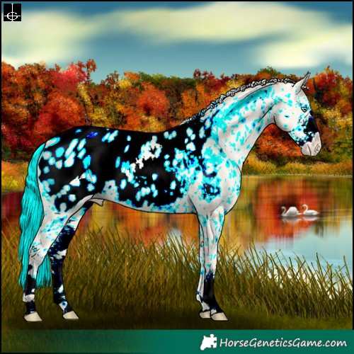 Horse Color:Silver Sable Cream Champagne Pearl Dun Sabino Blanket 