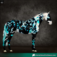 Horse Color:White Spotted Silver Amber Cream Champagne Pearl Onyx Splash Appaloosa 
