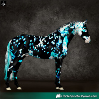 Horse Color:White Spotted Silver Amber Cream Champagne Pearl Onyx Splash Appaloosa 