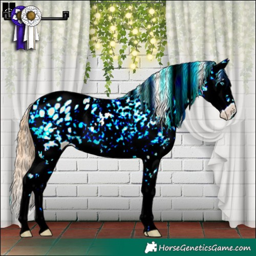 Horse Color:Buckskin Pearl Onyx Sabino Splash Snowflake Varnish 