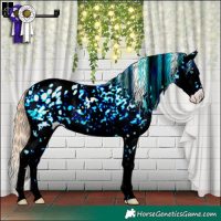 Horse Color:Buckskin Pearl Onyx Sabino Splash Appaloosa