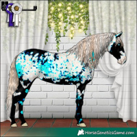 Horse Color:Buckskin Pearl Onyx Sabino Splash Appaloosa 