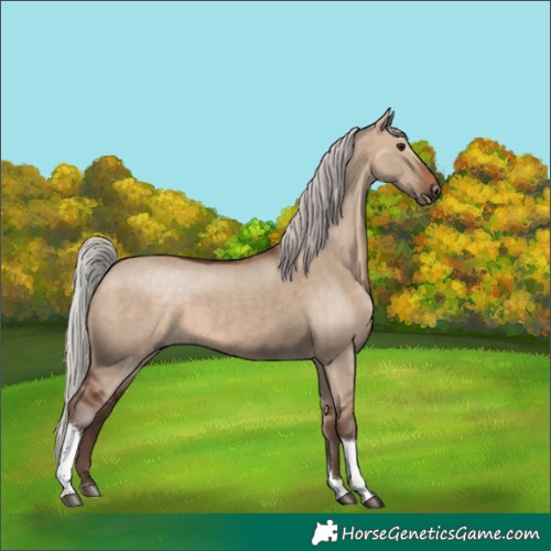 Horse Color:Silver Brown Dun Tobiano 