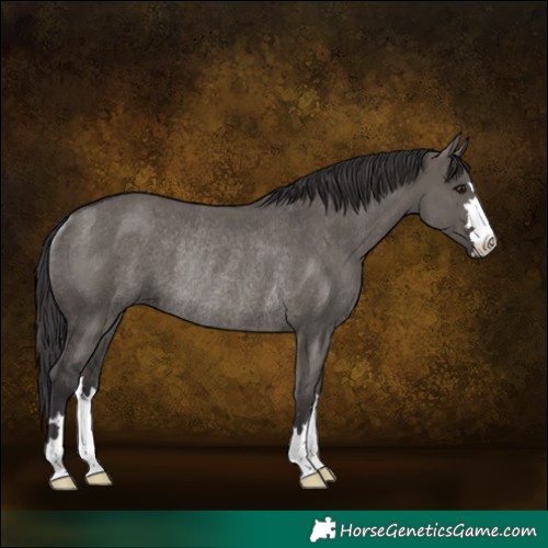 Horse Color:Smoky Grullo Rabicano 