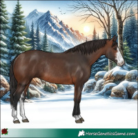 Horse Color:Brown Sabino Rabicano