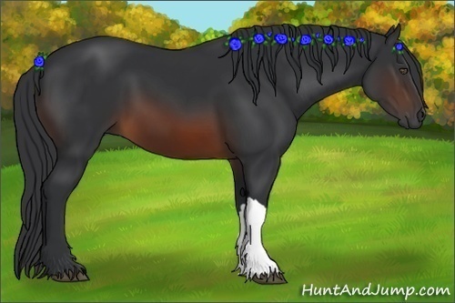 Horse Color:Brown 