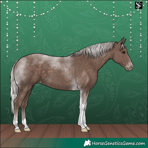 Horse Color:Silver Black Tobiano Varnish 
