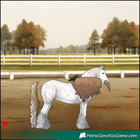 Horse Color:Blue Roan Pearl Splash Appaloosa 