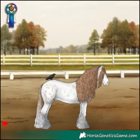 Horse Color:Blue Roan Pearl Splash Near Leopard 