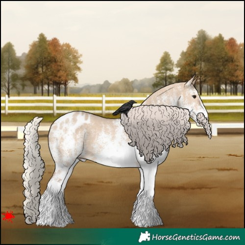 Horse Color:White Spotted Silver Bay Dun Appaloosa