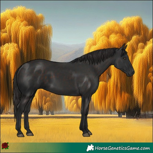 Horse Color:Liver Chestnut Rabicano