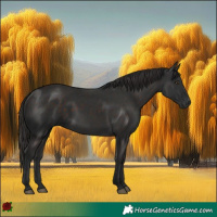 Horse Color:Liver Chestnut Rabicano 