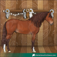 Horse Color:Chocolate Bay 
