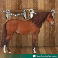 Horse Color:Chocolate Bay