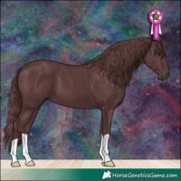 Horse Color:Chocolate Black