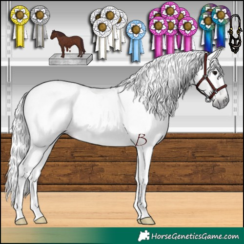 Horse Color:Gray Chocolate Black 