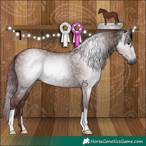 Horse Color:Gray Chocolate Black 