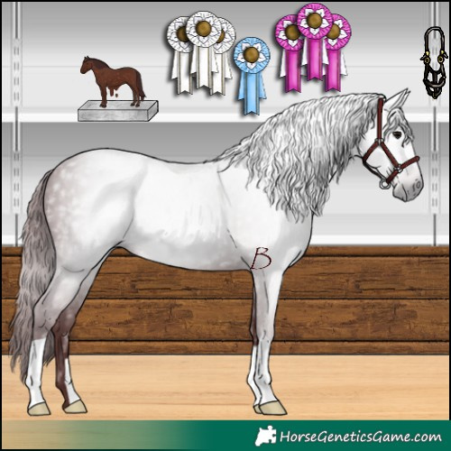 Horse Color:Gray Chocolate Black 