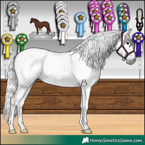 Horse Color:Gray Chocolate Black 