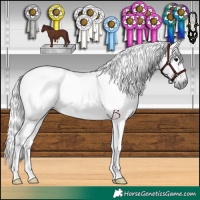 Horse Color:Gray Chocolate Black