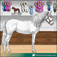 Horse Color:Gray Chocolate Black 
