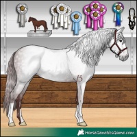 Horse Color:Gray Chocolate Black