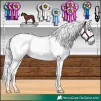 Horse Color:Gray Chocolate Black 