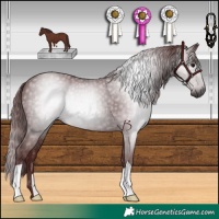 Horse Color:Gray Chocolate Black 