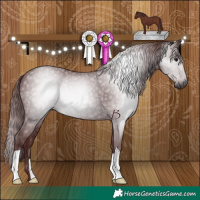 Horse Color:Gray Chocolate Black 
