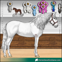 Horse Color:Gray Chocolate Black 