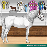 Horse Color:Gray Chocolate Black